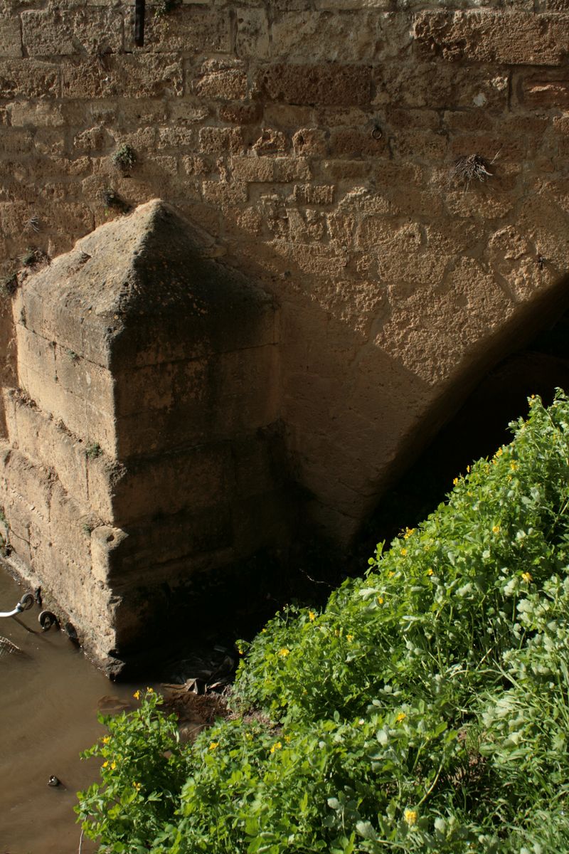 BAETERRAE AMPHITHEATRE 141