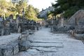 S_GLANUM733