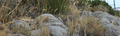 Malpas_Salses