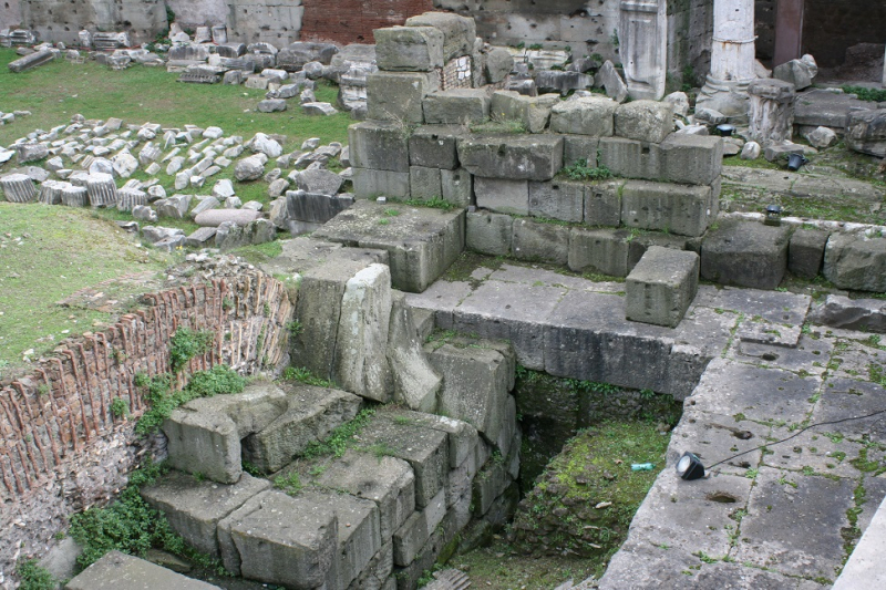 FORUM_NERVA_08