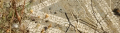 CHATEAU_LA_VERNEDE