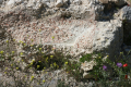 _SAINT_MARTIN_05 _SAINT_MARTIN_05